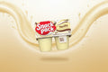 Snack Pack Vanilla Pudding Cups